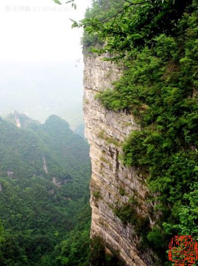 点击查看全图